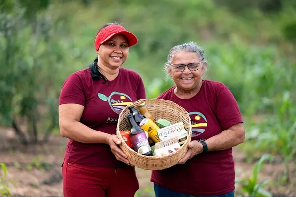 7 motivos para escolher o cooperativismo em 2026