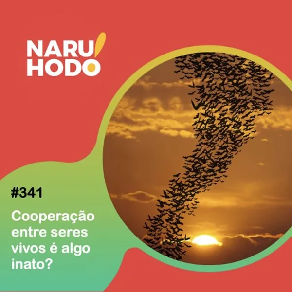 Naruhodo! Episódio #341 – Cooperação entre seres vivos é algo inato?