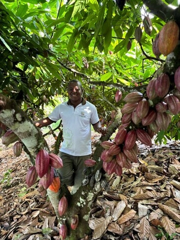 josué coopermatajpeg 0b3c9