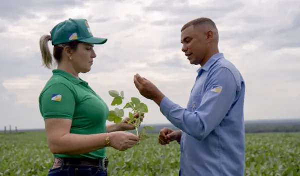 Elas cooperam, lideram e transformam o campo