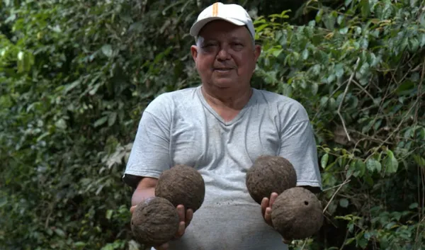 Preservar para prosperar